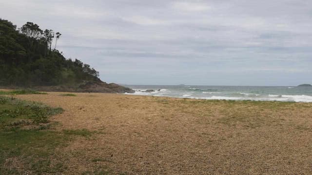 National hunt for identity of woman in beach bones find