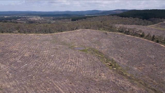 NSW government reveals plans to fix broken nature laws