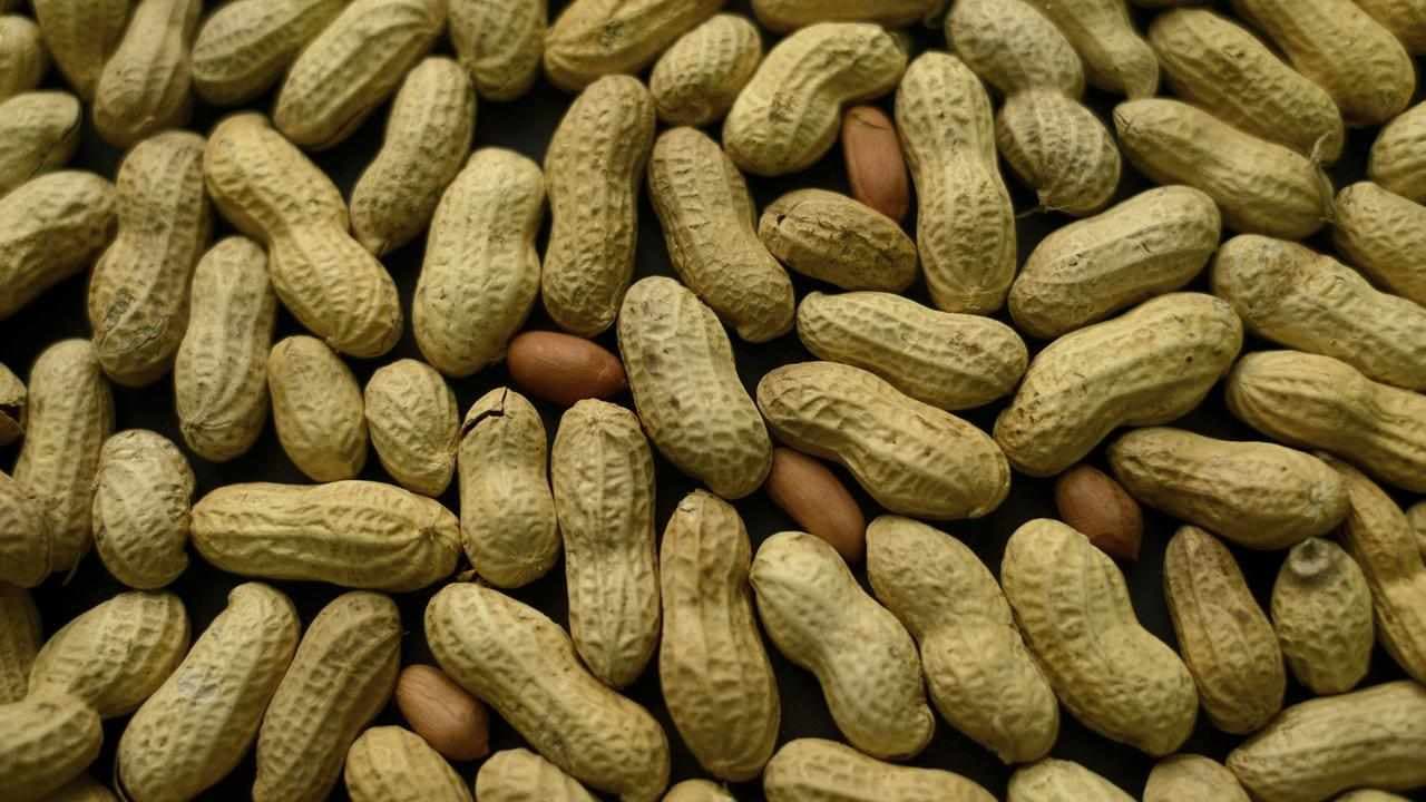 World-first peanut allergy trial seeking participants