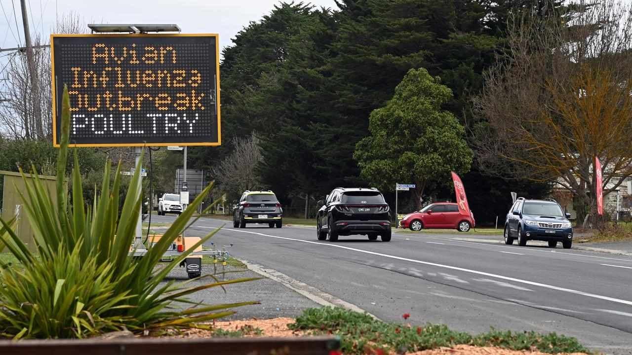 Australia to simulate arrival of deadly bird flu
