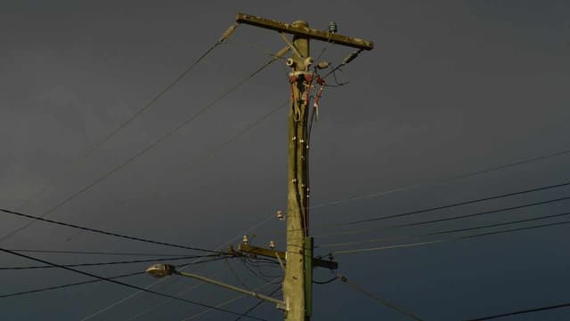 Timber industry battles shift to man-made power poles