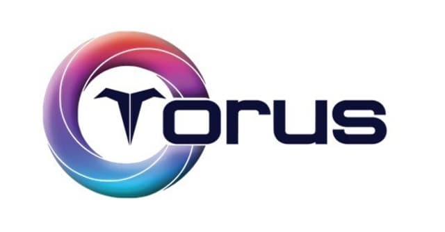 TorusChain Association Launches the First Ever Gasless Layer 1 Blockchain, TorusChain is Revolutionizing the WEB3 Ecosystem