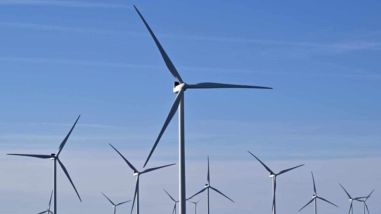 Offshore wind zone cut to appease locals, save whales