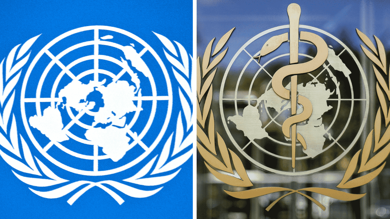 No, UN Pact for the Future is not WHO pandemic treaty in disguise