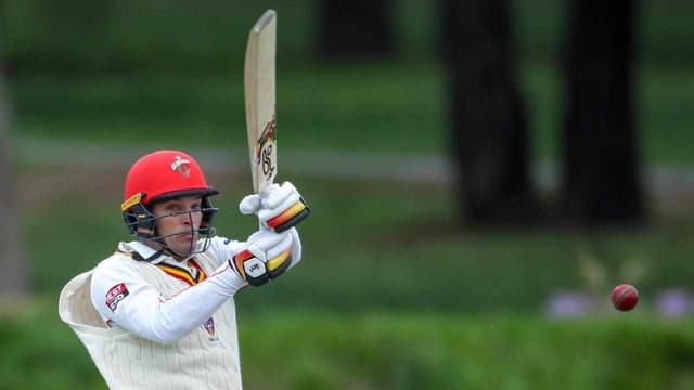 Lost balls: Carey on the attack ahead of Test summer