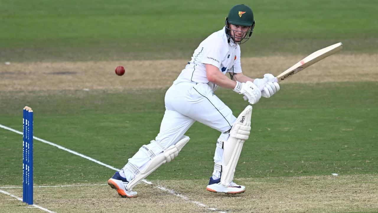 Doran scores ton as rain cruels Tigers against Bulls