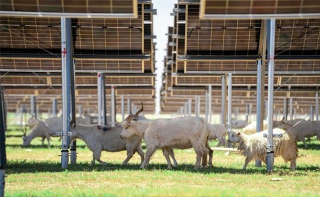 Arctech's SkyWings Empowers the World's Largest Single-Capacity PV Power Plant Built on Coal Mining Subsidence Area