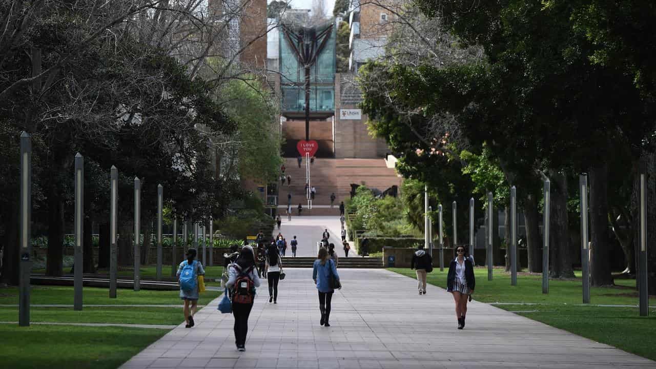 Carer, student, youth support payments set to grow