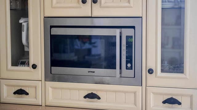 Theory Russia has banned microwave ovens is cooked