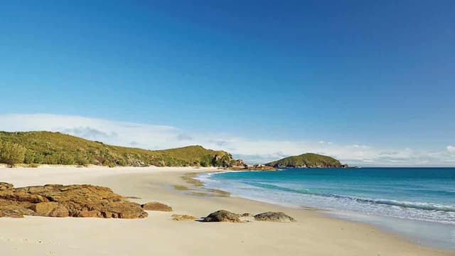 Youth pastor killed by shark while fishing with family