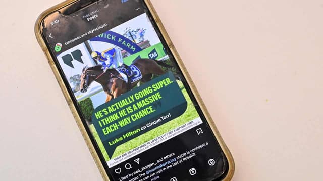 Teals bet on hung parliament to force gambling ad ban