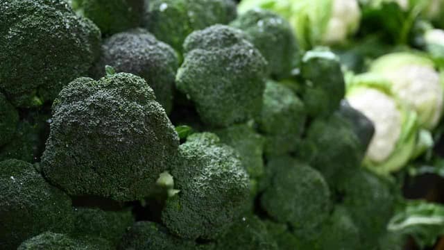 Evidence lacking for cornucopia of cancer cures