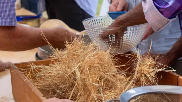 Harvest celebrates native grains in community hands