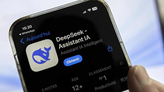 DeepSeek 'excessively' collects personal data: S Korea