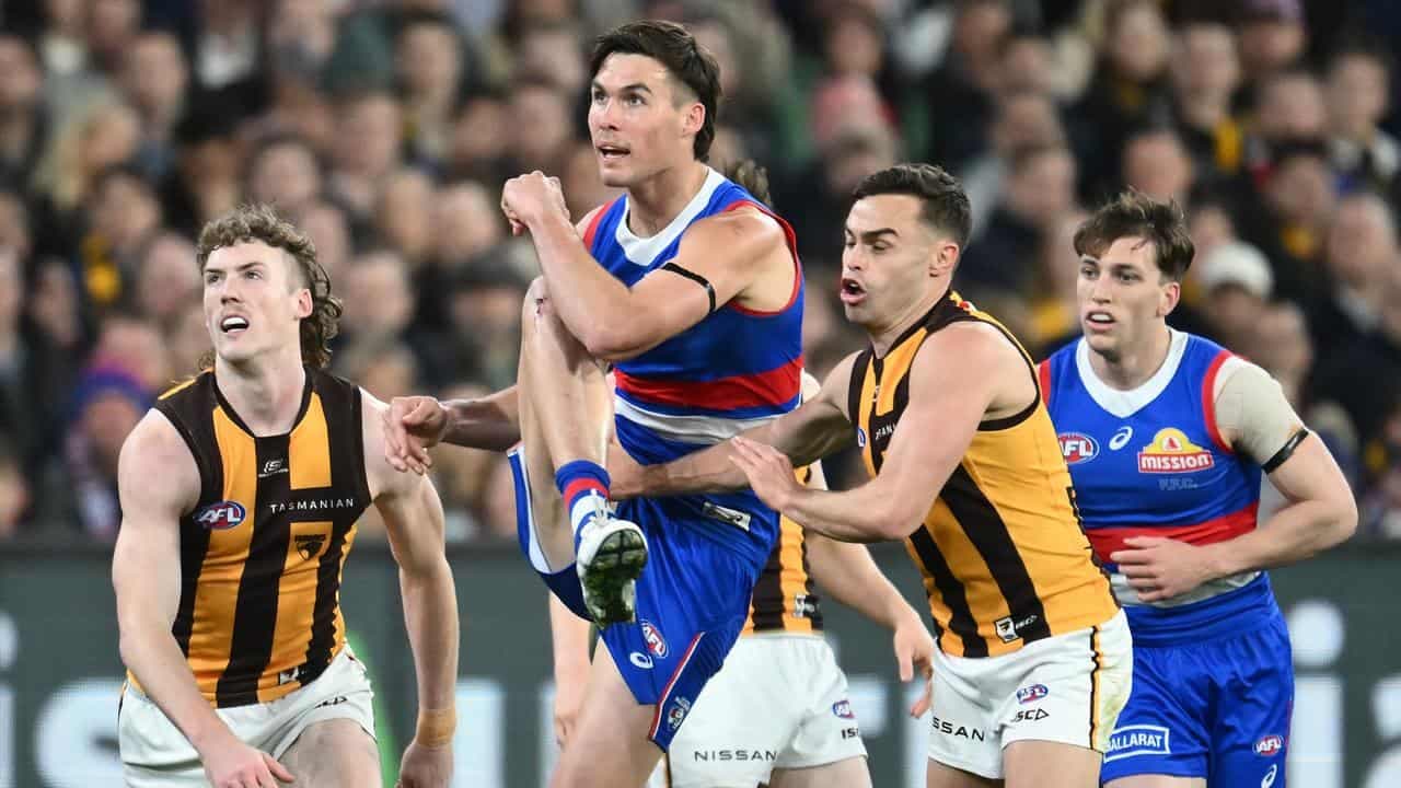No ceiling on Bulldogs young gun Darcy: Bontempelli