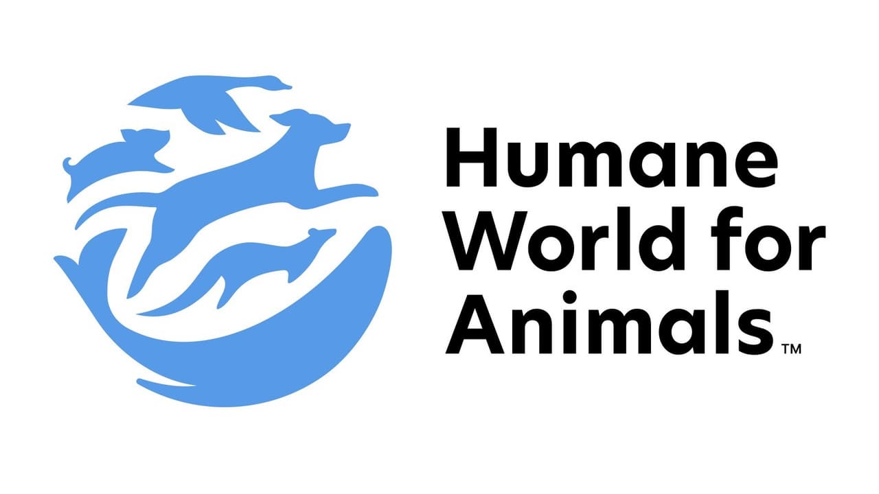 Animal charity Humane Society International Australia becomes 'Humane World for Animals' to better encompass mission and global presence