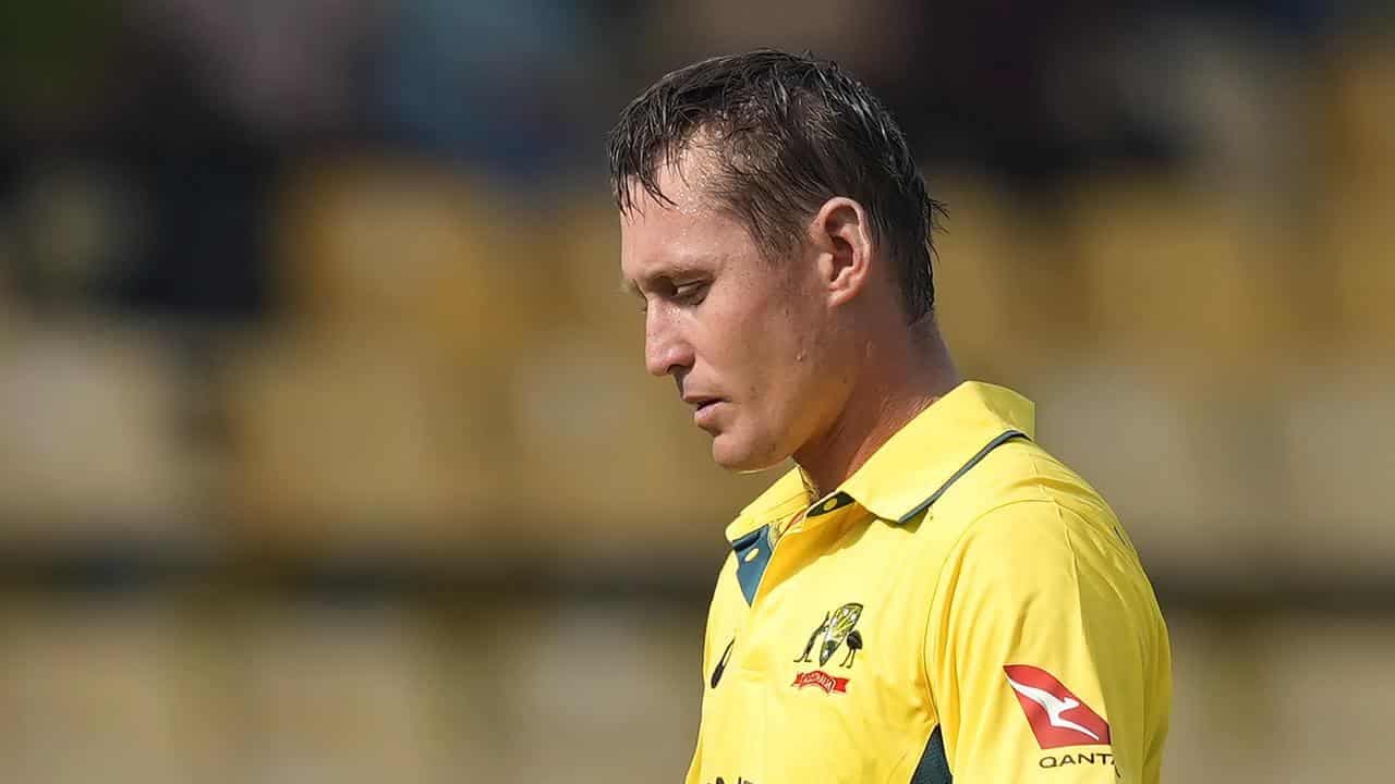 Steve Smith: Marnus still in mix for Champions Trophy