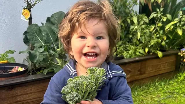 Toddler 'failed' in hospital death, parents want change