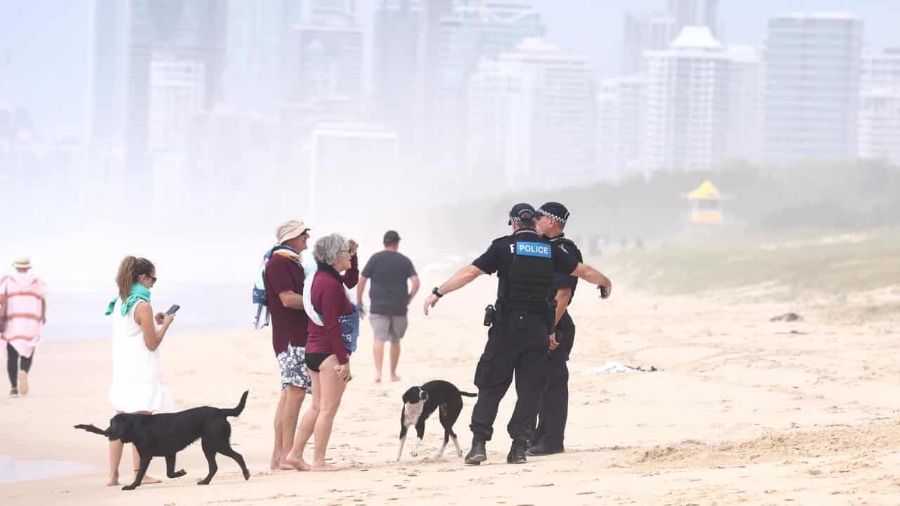 Practice torpedo washes up on popular beach