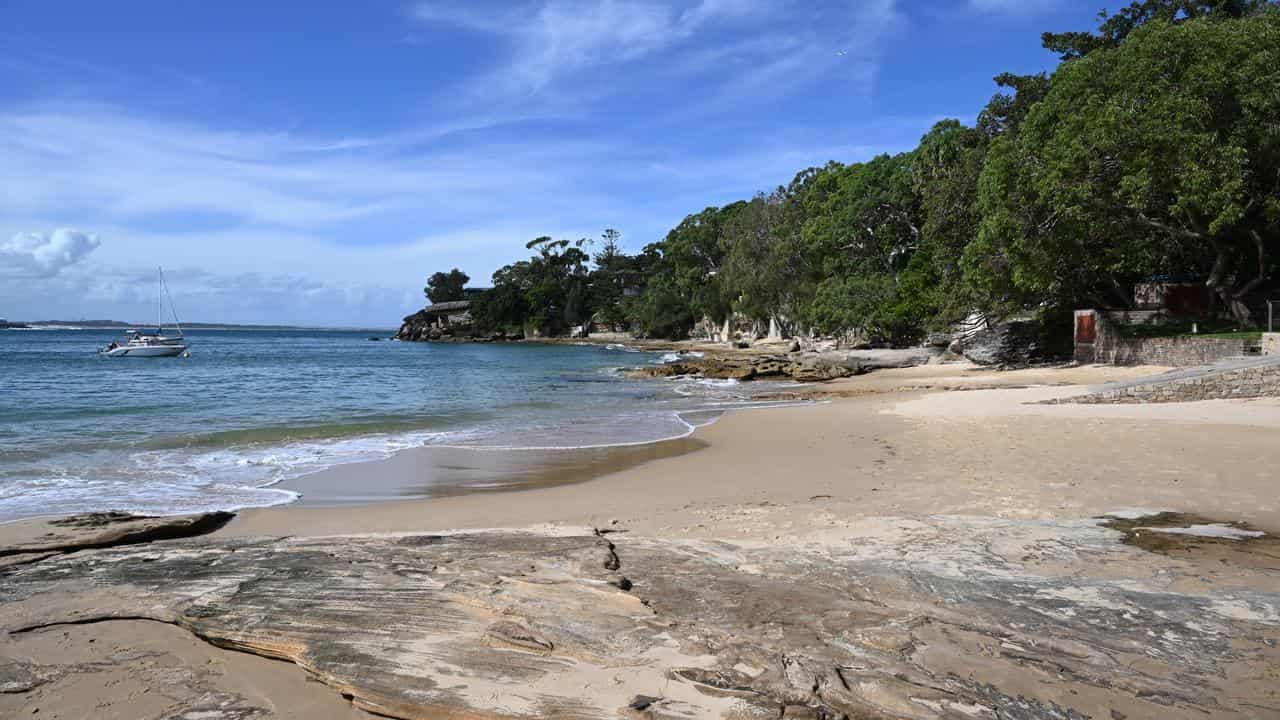 Shark attack victim airlifted to hospital