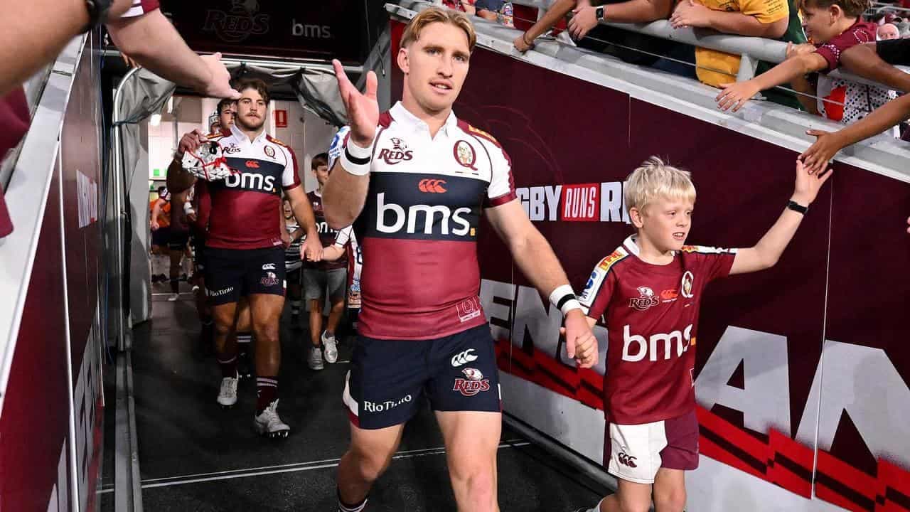 Reds crave home base return ahead of Waratahs test