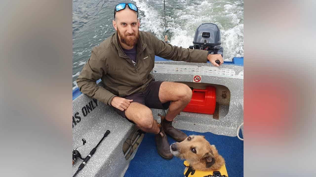 Search suspended for 'gentle giant' taken by shark