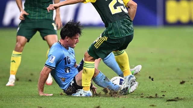 Socceroos coach Popovic expresses concern over pitch