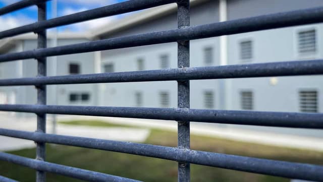 Tougher bail regime to harden young crims, critics warn