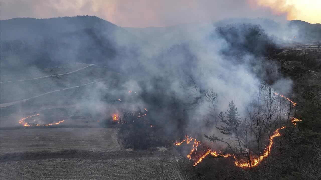 Firefighters killed as South Korea battles wildfires