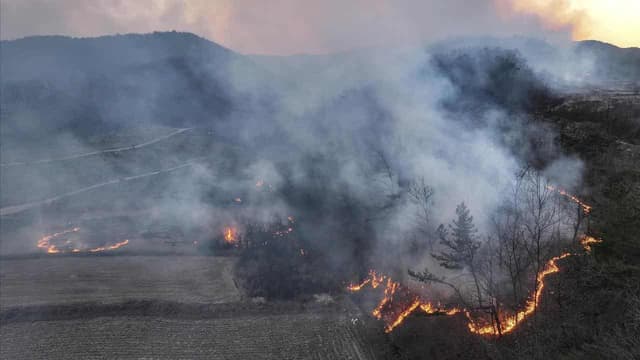 Firefighters killed as South Korea battles wildfires
