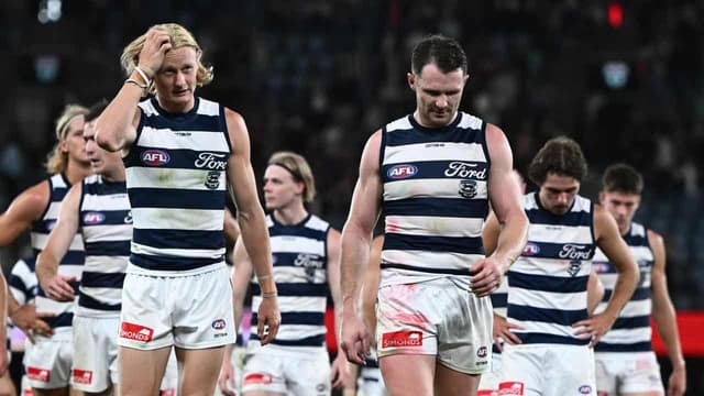 Cats' eyes on Stewart, Smith ahead of Lions blockbuster