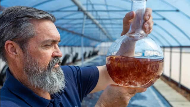 Climate fighters find innovative way to feed the beast