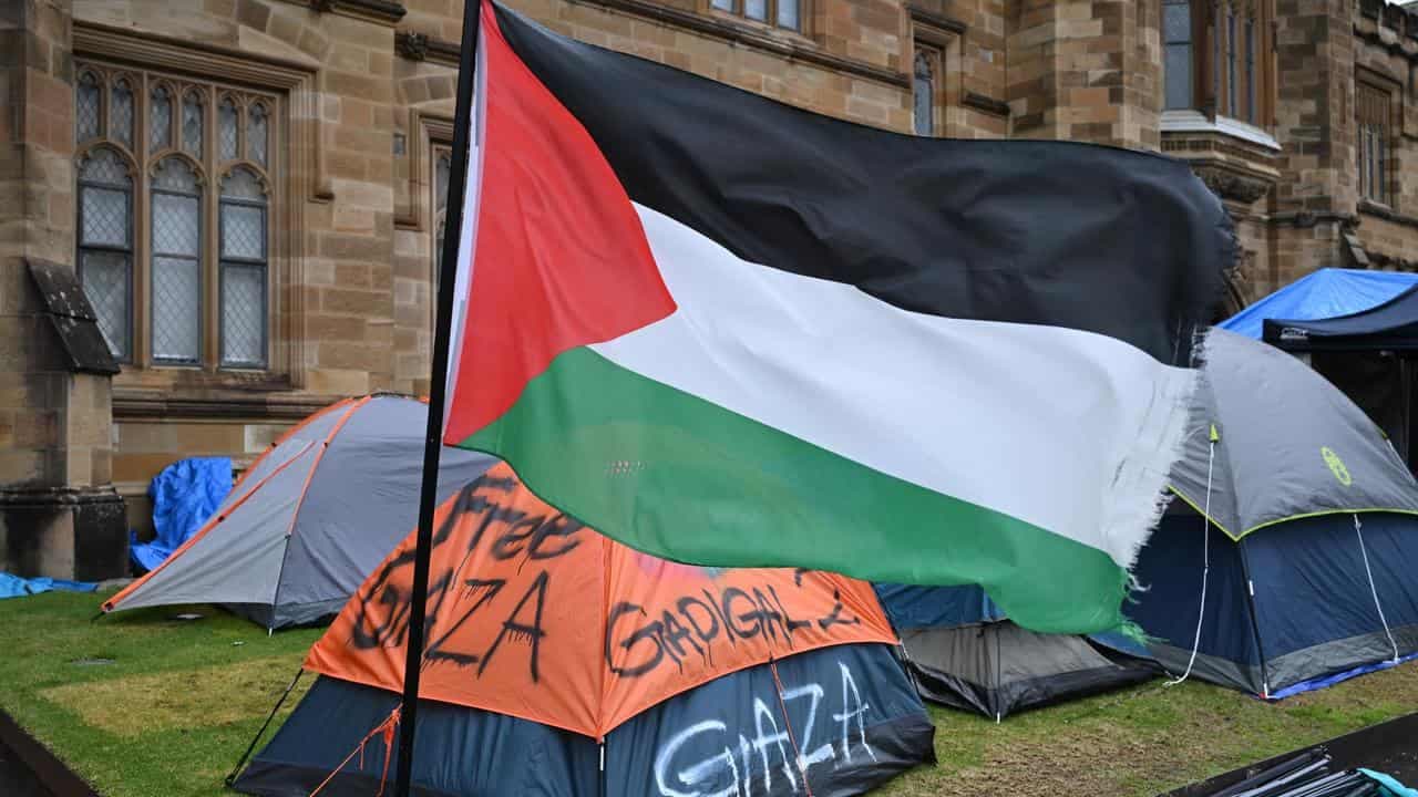 University staff add voices to pro-Palestinian protests