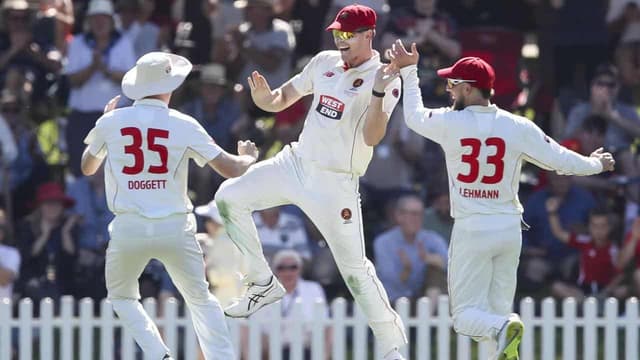 Bulls crash before teen revives shield hopes against SA