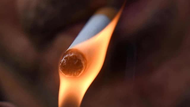 Up in smoke: billions wiped off tobacco tax forecast