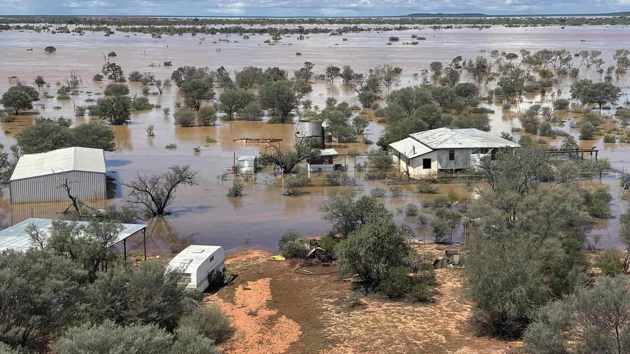 'You could bog a duck': record flooding hits outback