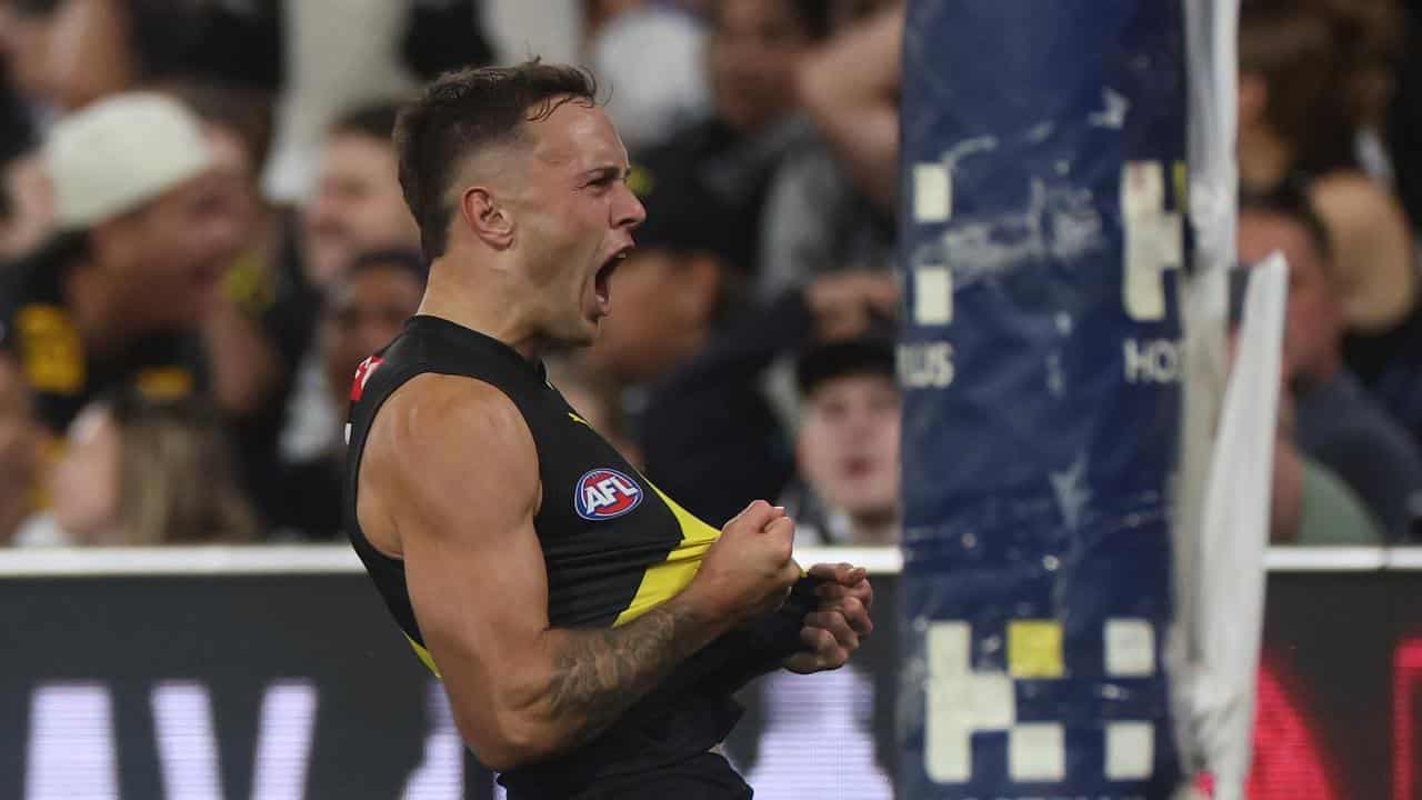 Emerging cubs revitalising Tigers ahead of Saints clash