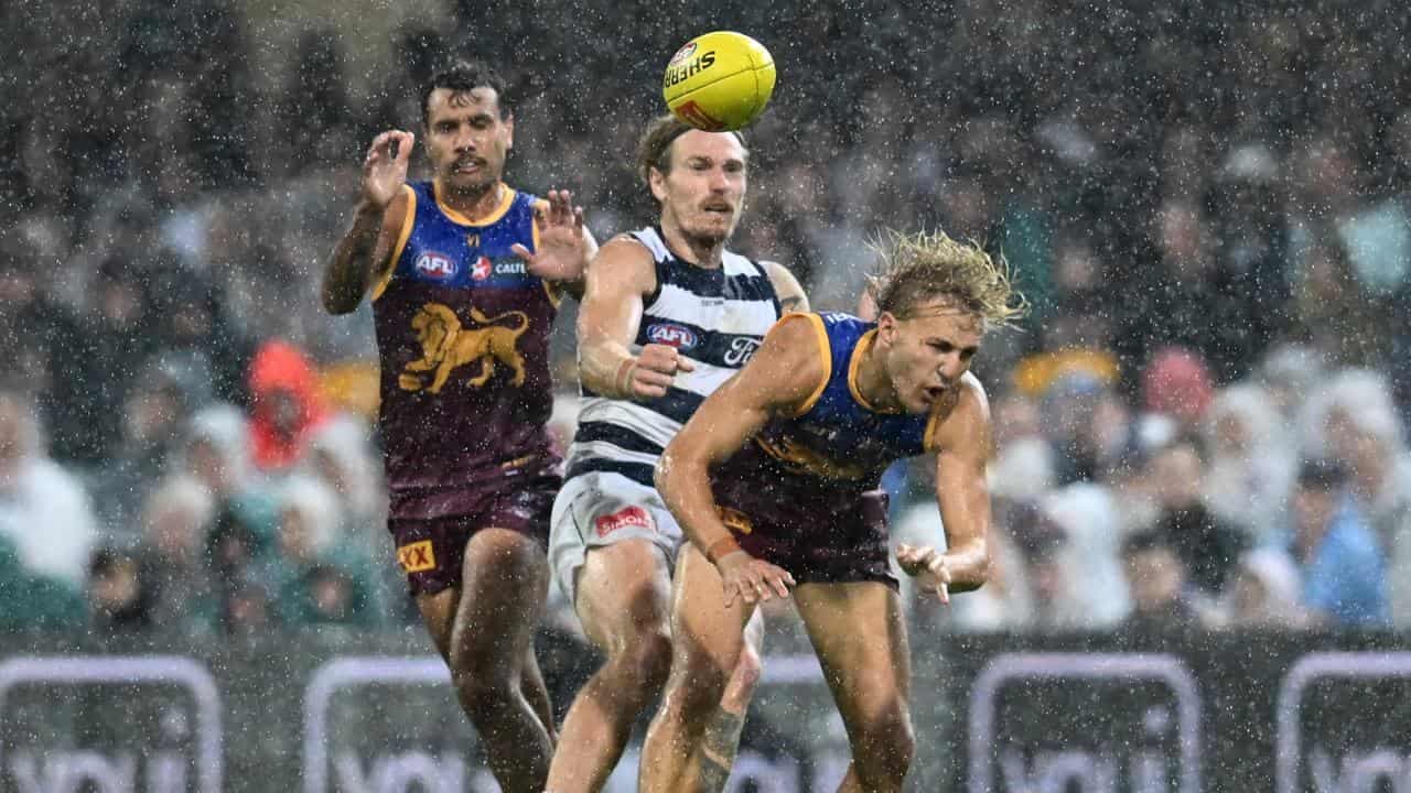 Like Cats in mud: Lions reveal plans for wet Gabba