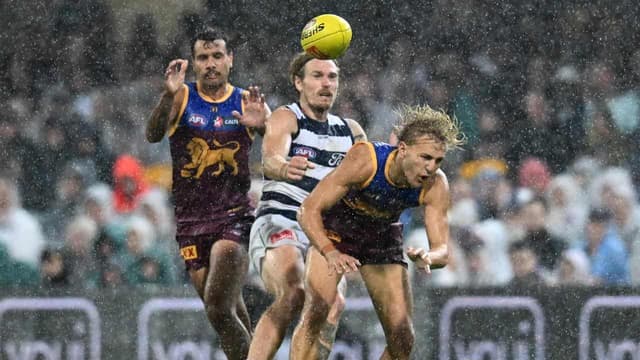Like Cats in mud: Lions reveal plans for wet Gabba