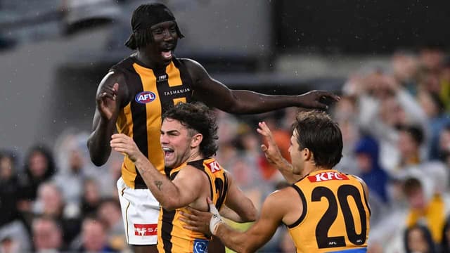 Hawks rally to beat Giants, maintain unbeaten AFL run
