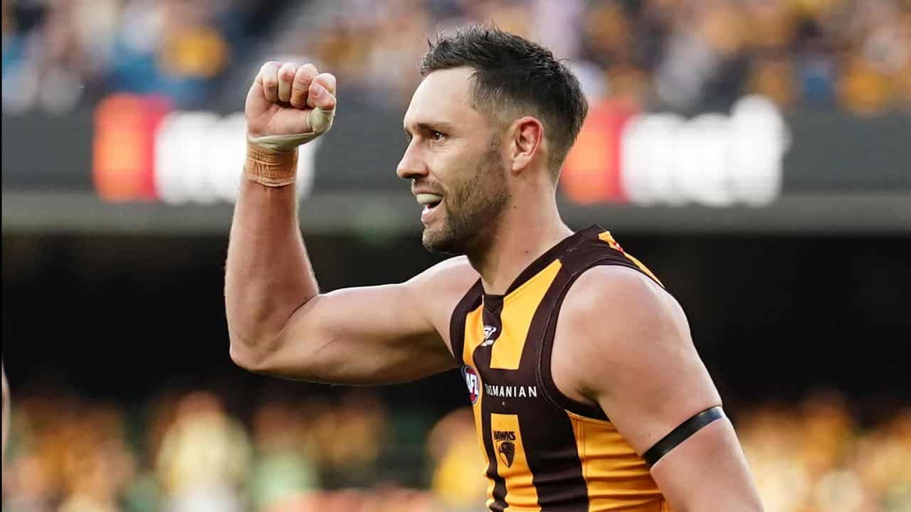 Hawthorn praised for maturity in windy AFL comeback