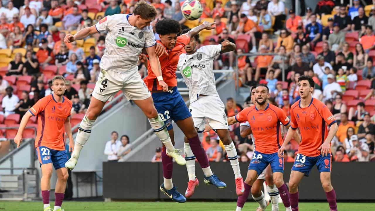 Auckland beat Brisbane to close on ALM premiership