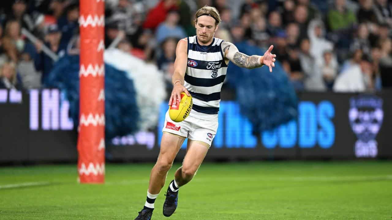 Cats hope for Stewart return, fine-tuning after losses