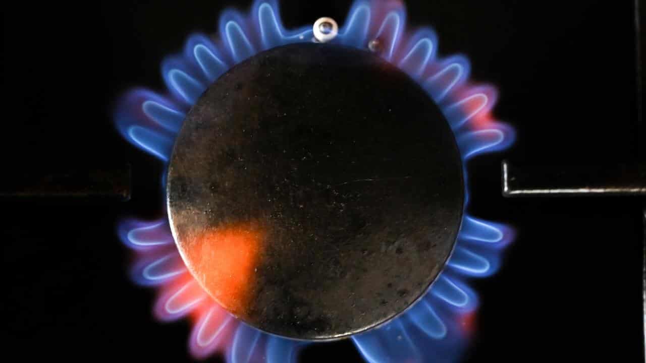 'Own goal': gas producers lash export control policies