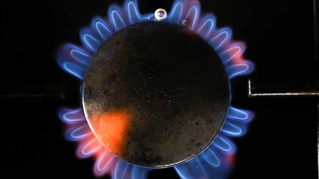 'Own goal': gas producers lash export control policies