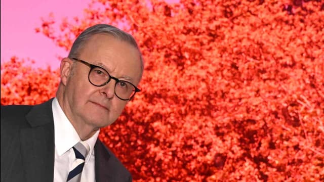 PM derides 'aggro' Dutton as US tariff threat looms