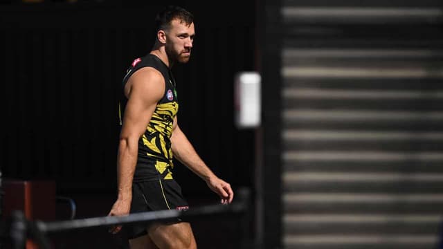 Tigers' Balta set to return before assault sentencing