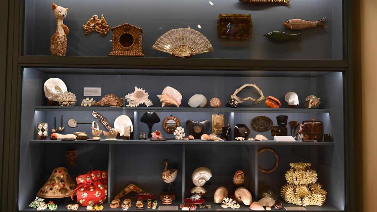 Collation of quirky collections a compelling exhibition