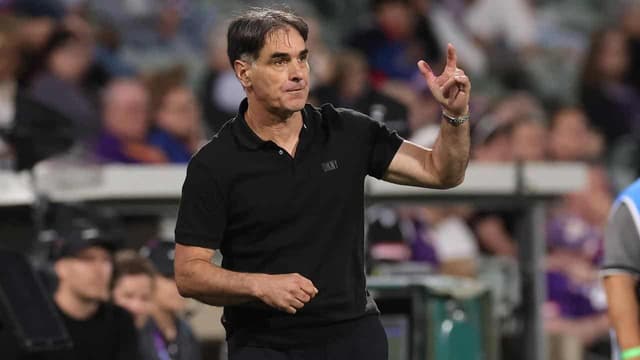 Jets boot coach Stanton with ex-Socceroo tipped for job