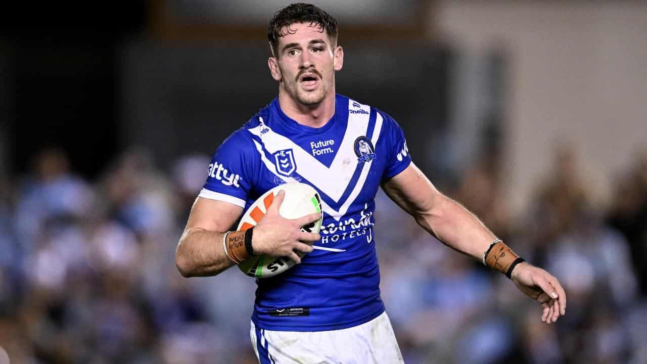Family pedigree ensures Hayes can be top prop for Dogs